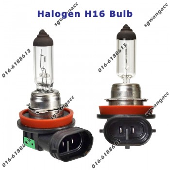 DLAA Halogen Bulb H16 12V 19W for Head Light / Fog Light 